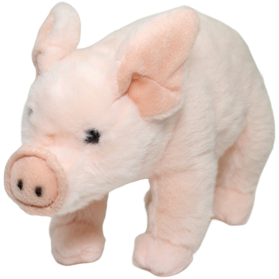 Süßes rosa Schwein, stehend