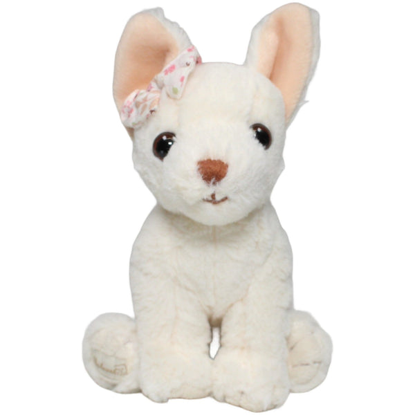 Weißer Chihuahua mit Schleife, sitzend