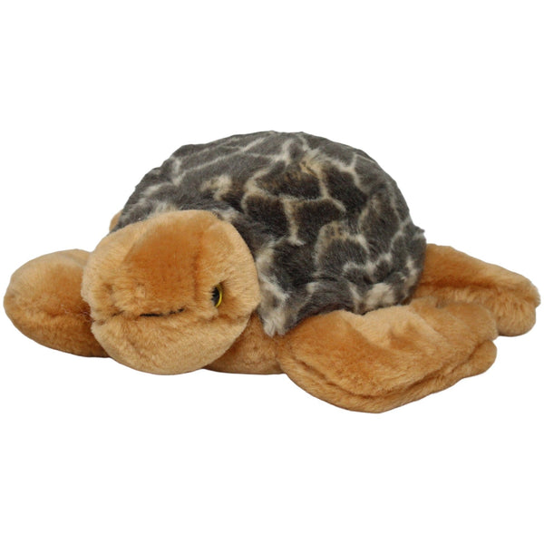 Süßes Schildkröte