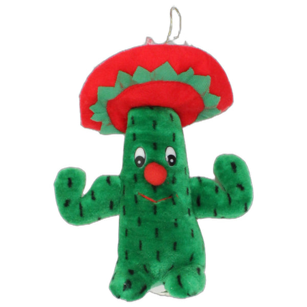 Lustiger Kaktus mit Sombrero