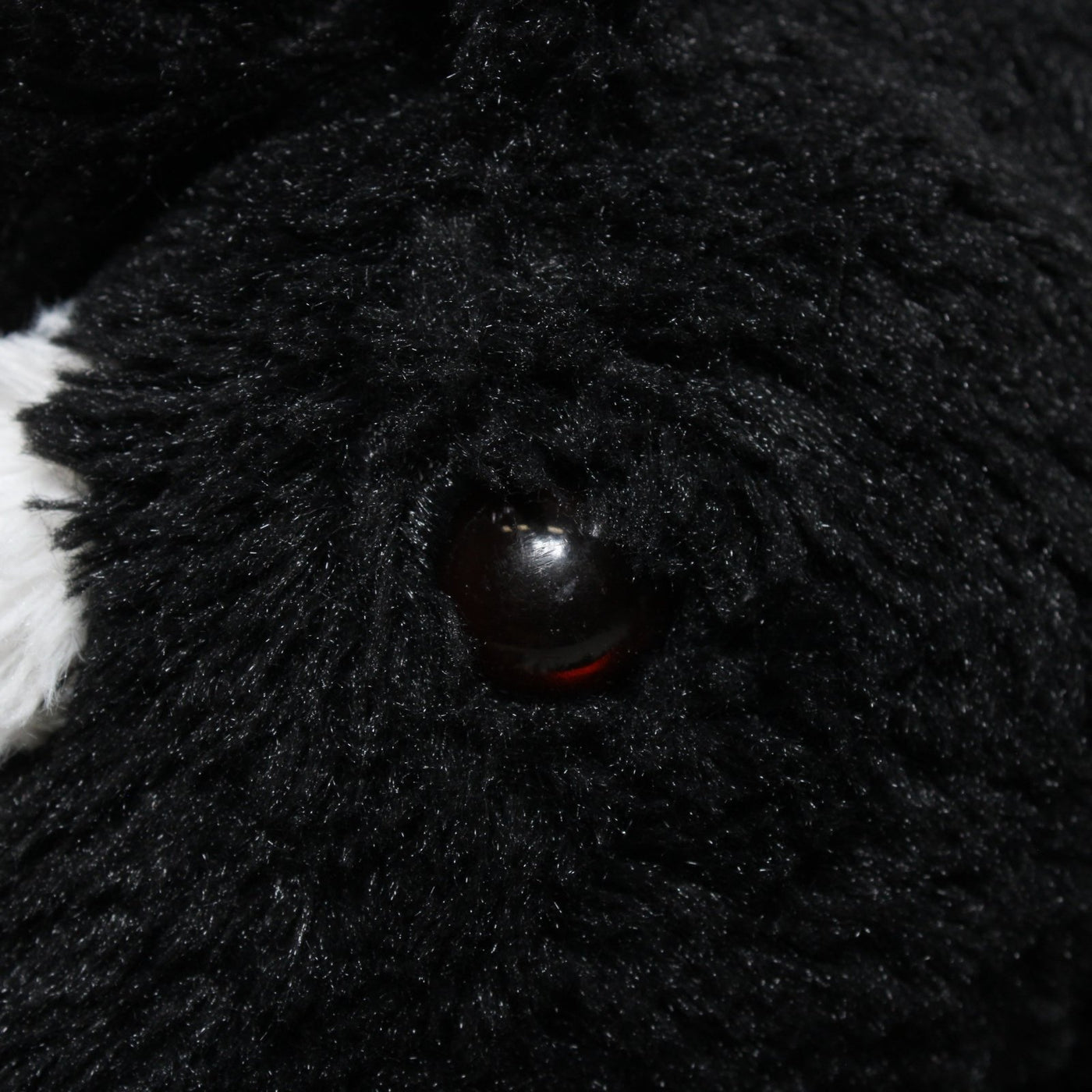 123000026108 TEDI Kuschel-Freunde, schwarzes Pferd Kuscheltier Kumpel Leo 65cm ebay-20-stofftiere Gebraucht