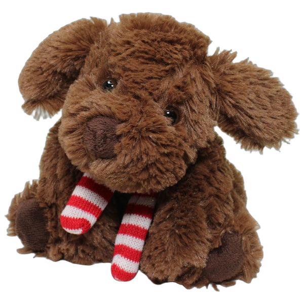 Brauner Hund mit Schal und Stauraum