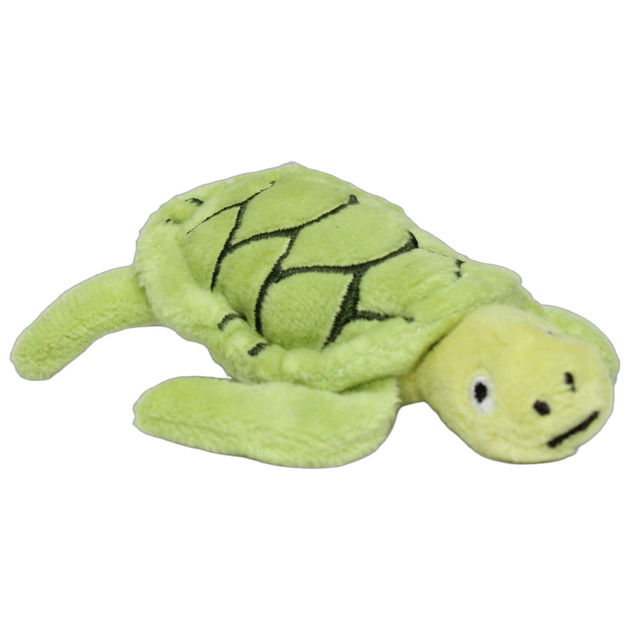 Mini Schildkröte, BLÅVINGAD