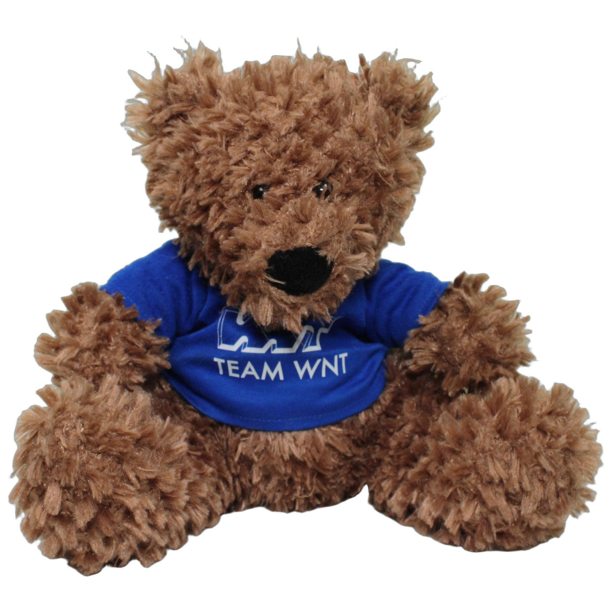 123000026383 mbw Vertriebsges. mbH Minifeet, Teddy mit blauem Shirt "TEAM WNT" Kuscheltier Kumpel Leo 25cm Blau Braun