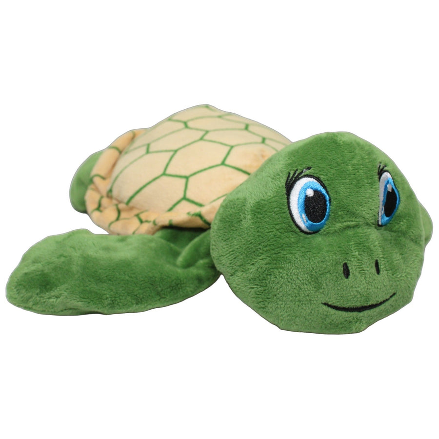 Grüne Schildkröte, liegend