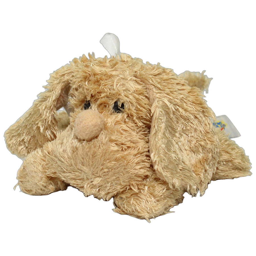 Beige Hund, liegend