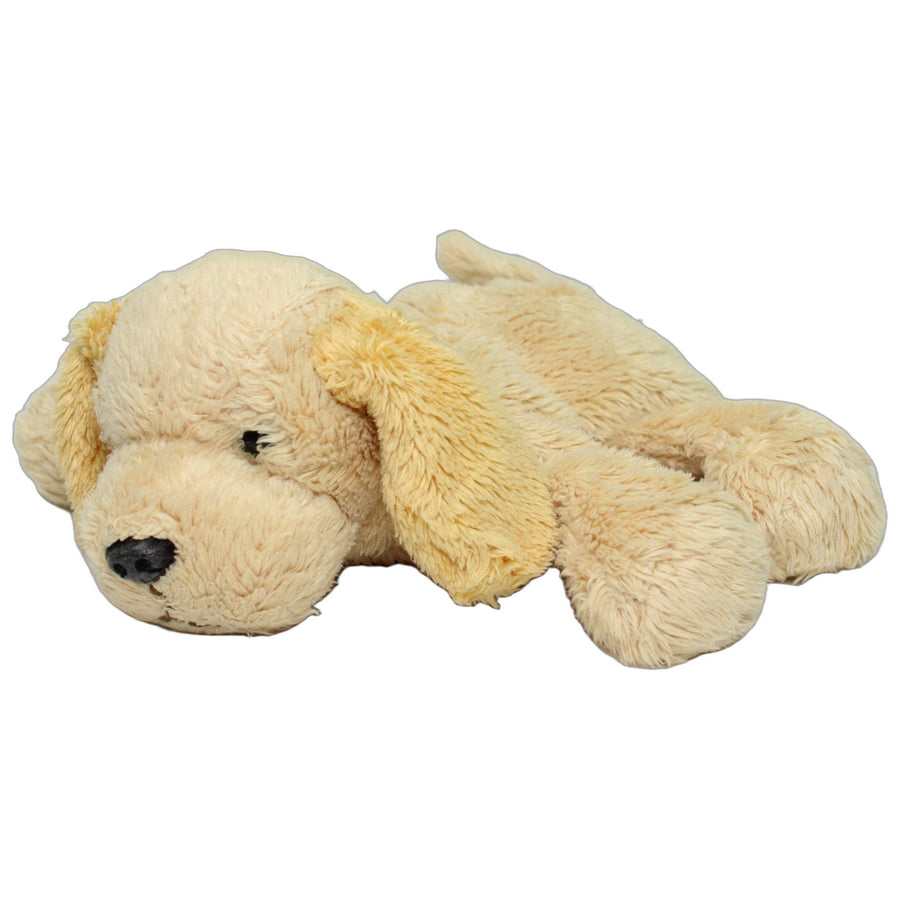 Süßer liegender Hund