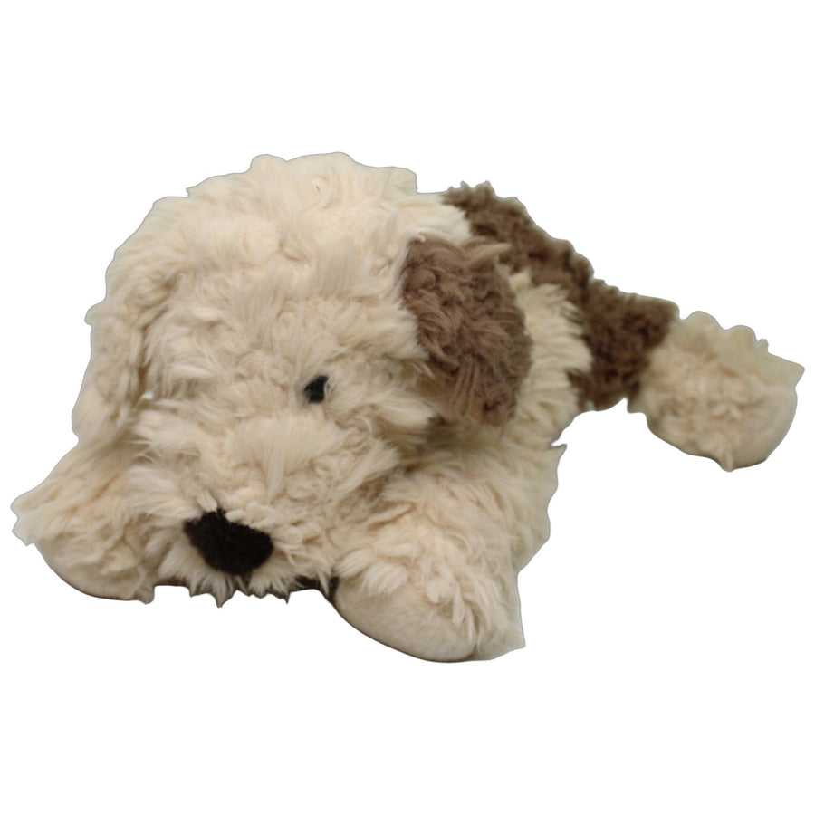 Schöner Zottel-Hund, liegend