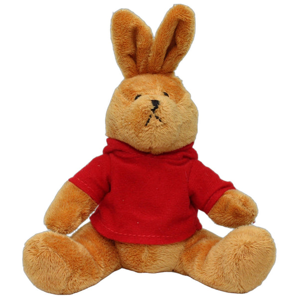 Hase mit rotem Hoodie, sitzend