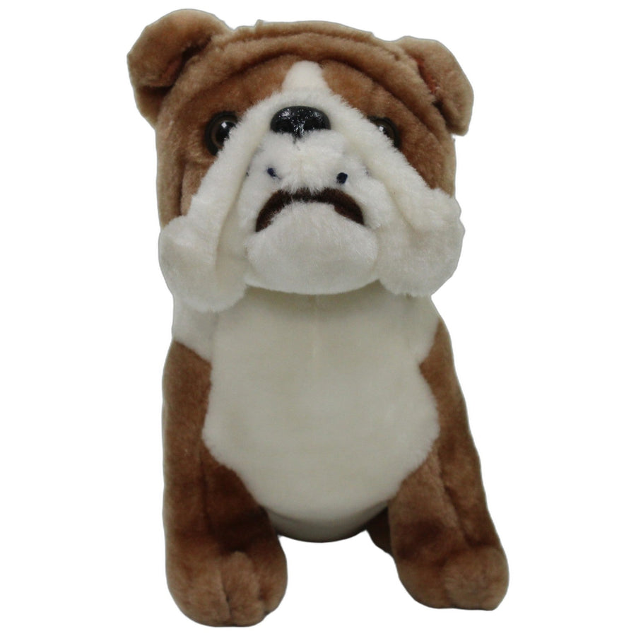 Braune Bulldogge, sitzend