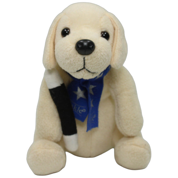 Golden Retriever mit blauem Schal & Zauberstab