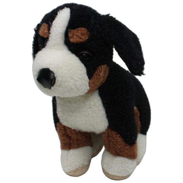 Süßer Berner Sennenhund, sitzend