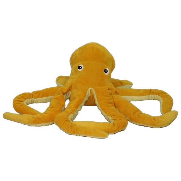 Gelber Oktopus, BLÅVINGAD