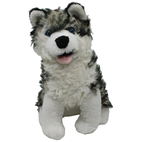 Niedlicher Husky, sitzend