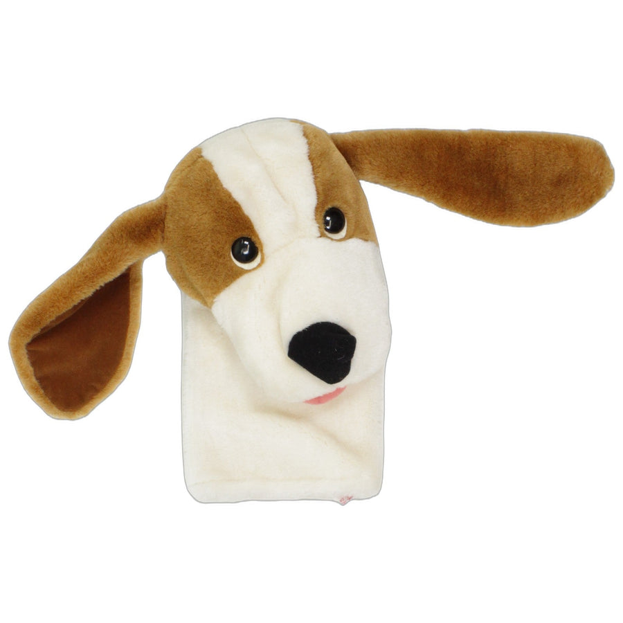 Braun-weißer Hund mit langen Ohren & Zunge