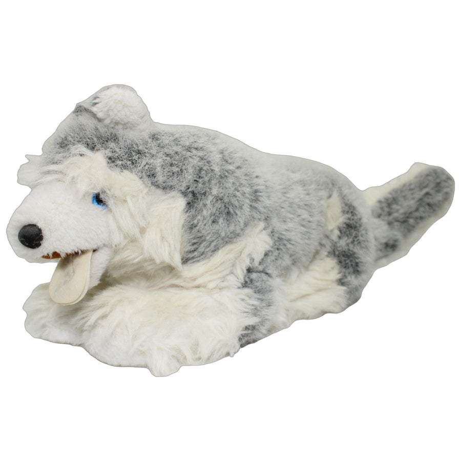 Schöner XL Husky, liegend
