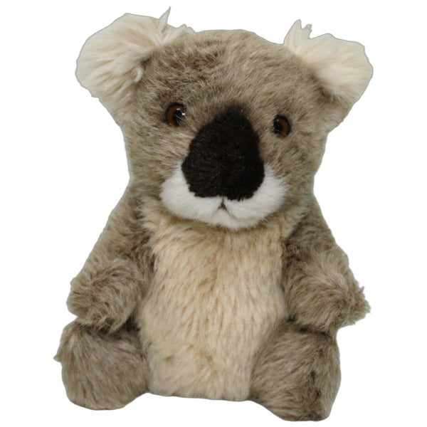 Süßer Koala