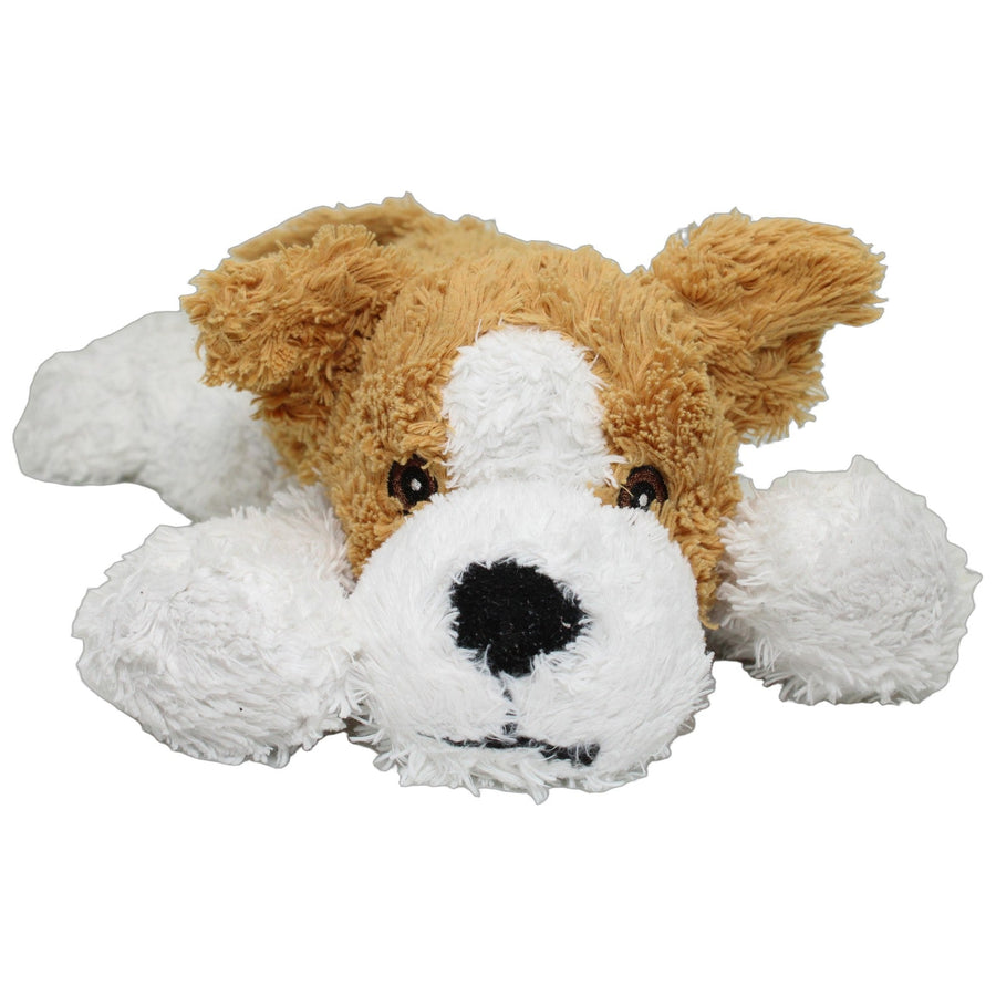 Süßer liegender Hund
