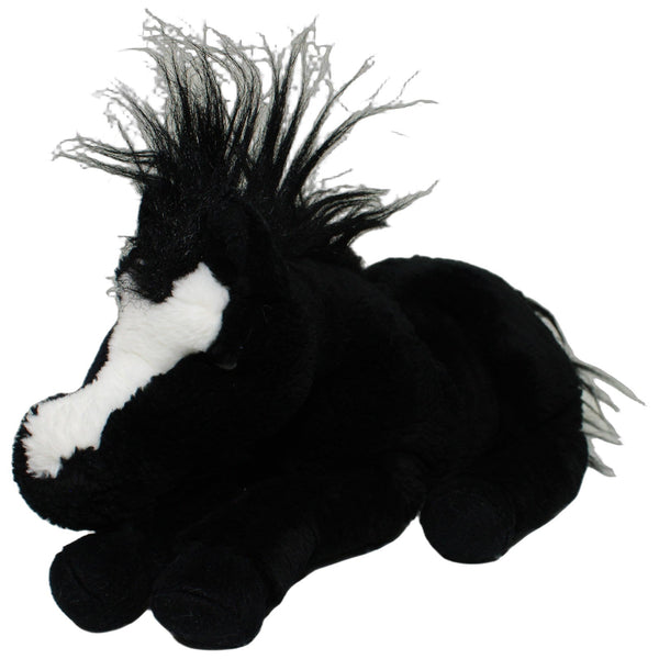 Großes schwarzes Pferd mit weißer Blesse, liegend