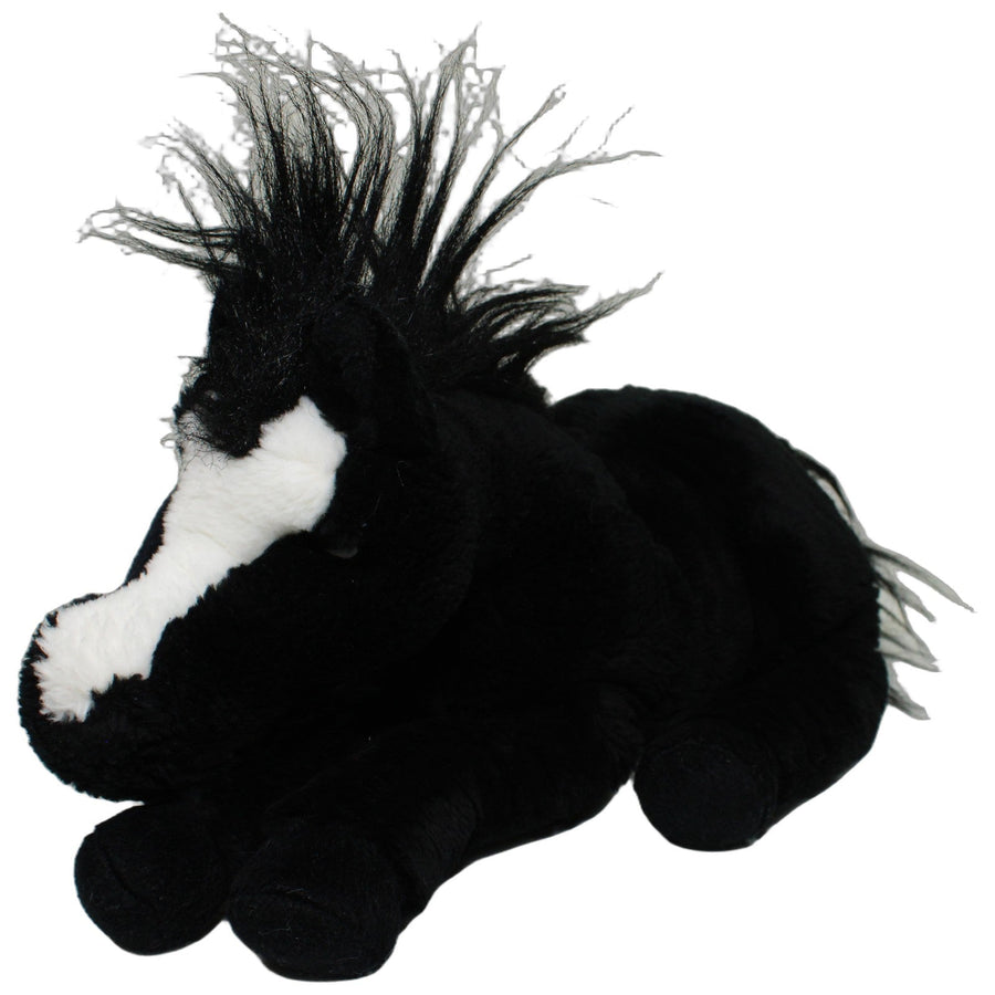 Großes schwarzes Pferd mit weißer Blesse, liegend