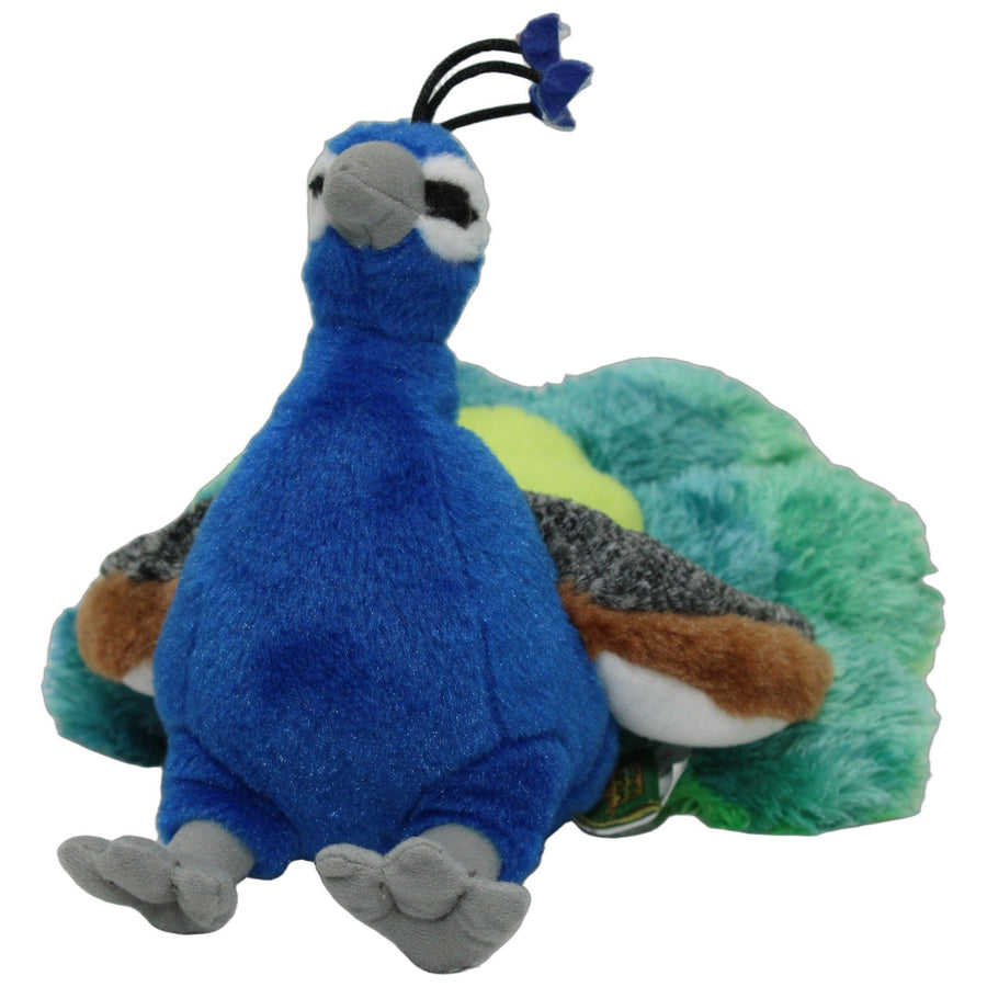 Schöner Pfau, sitzend