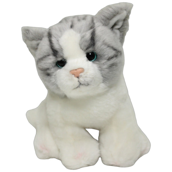 Süßes kleines Kitten, grauweiß