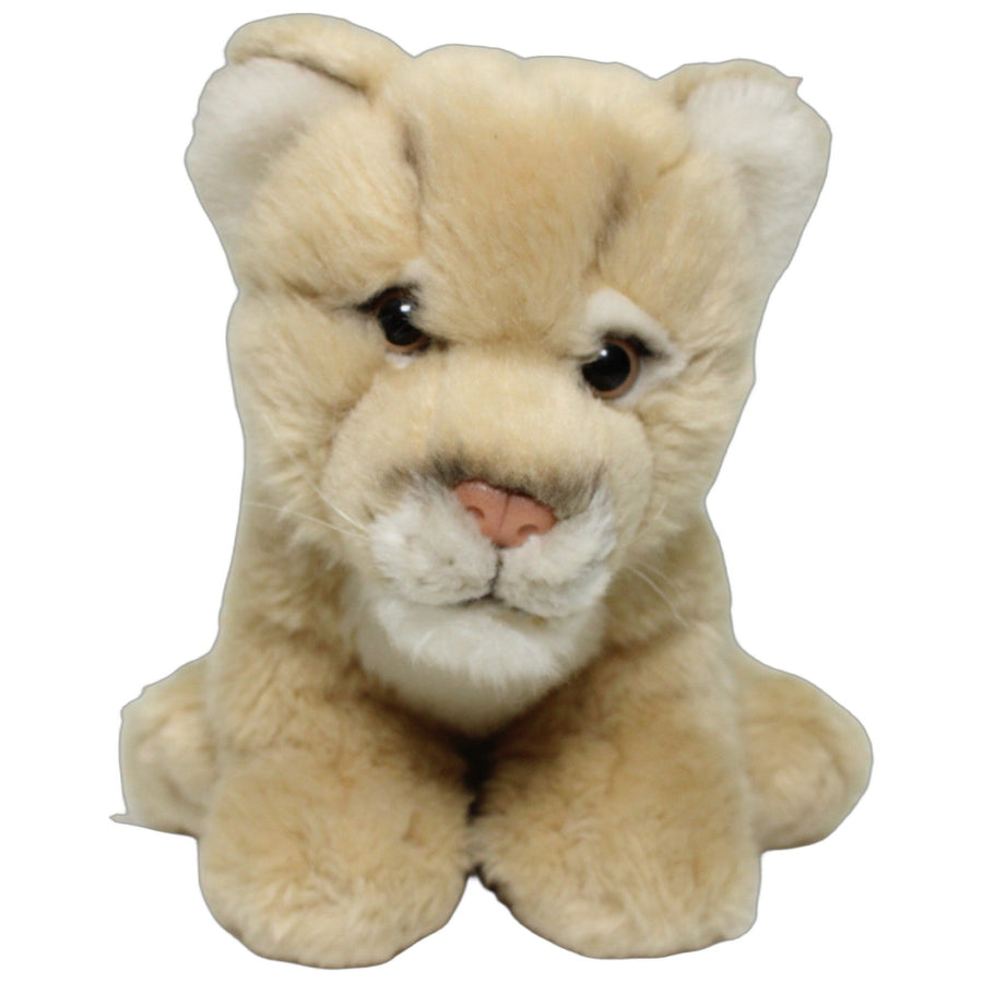 Hübsches Löwenbaby