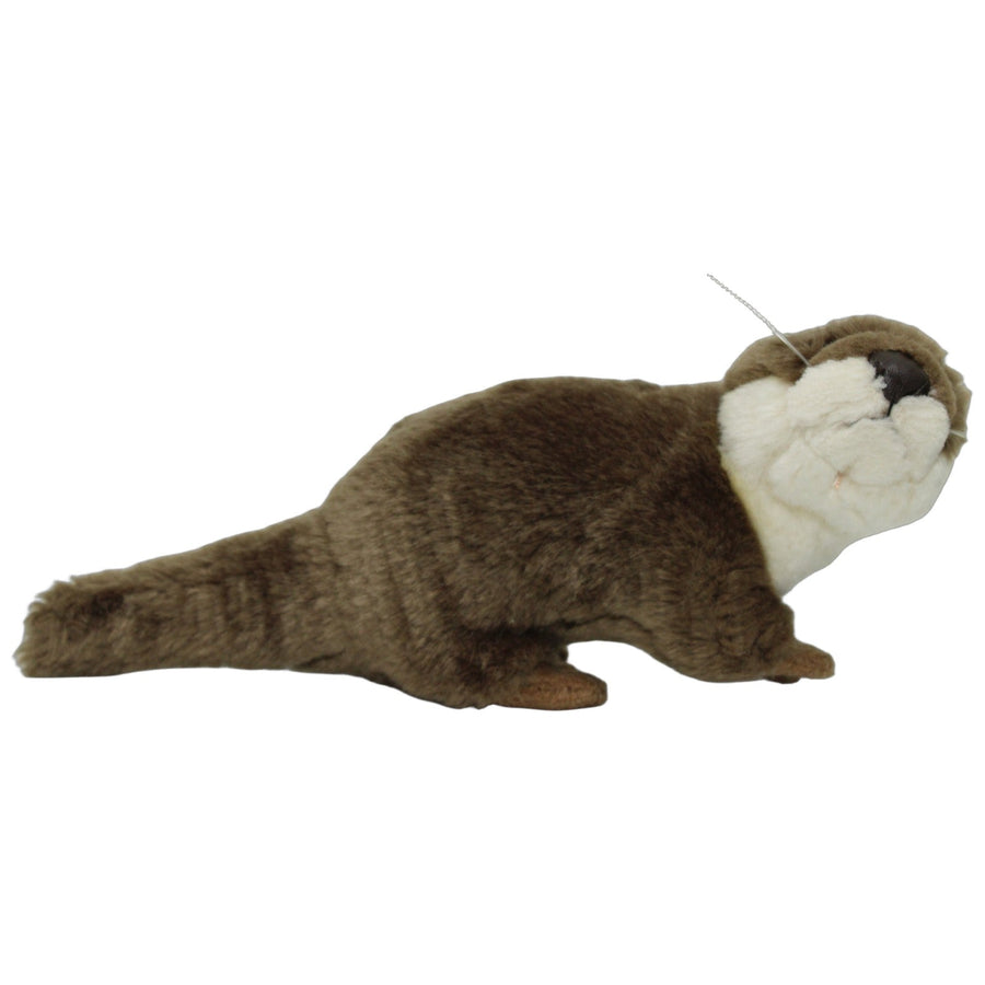 Süßer hochschauender Otter