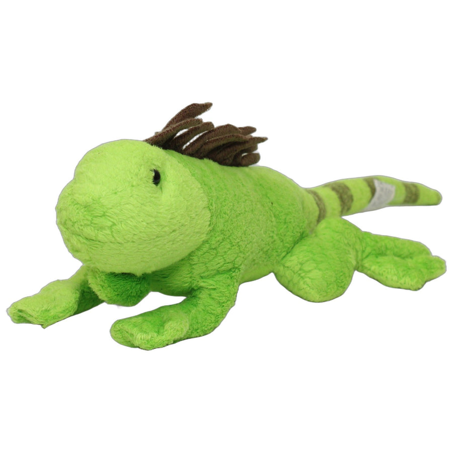 Schöner grüner Leguan