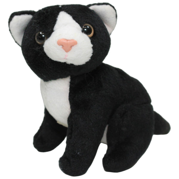 Kleine schwarze-weiße Katze mit Sound