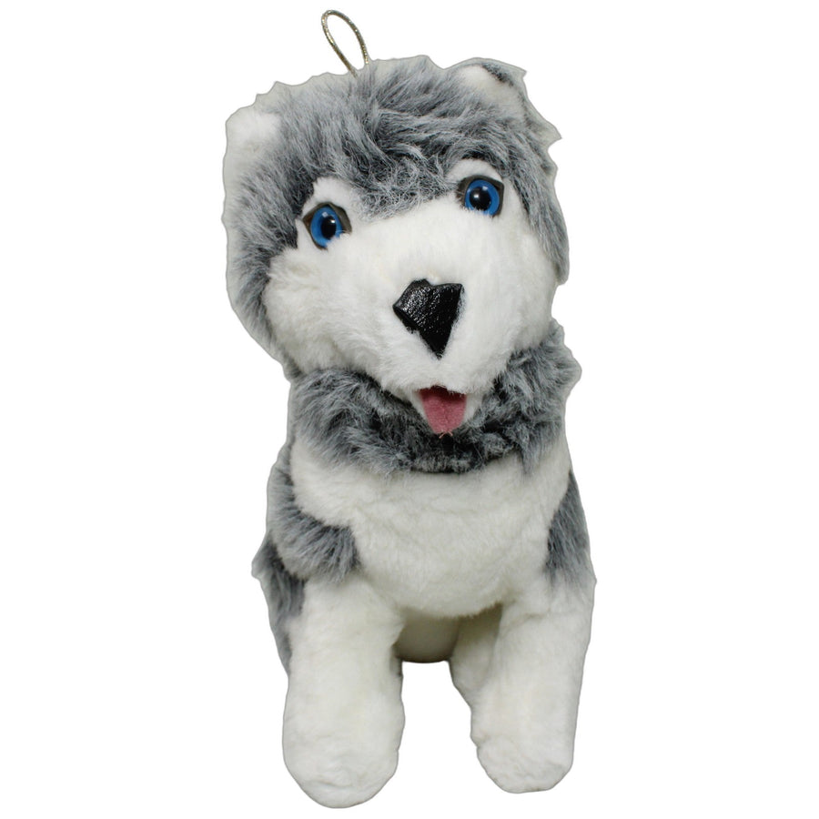 Husky mit blauen Augen, stehend