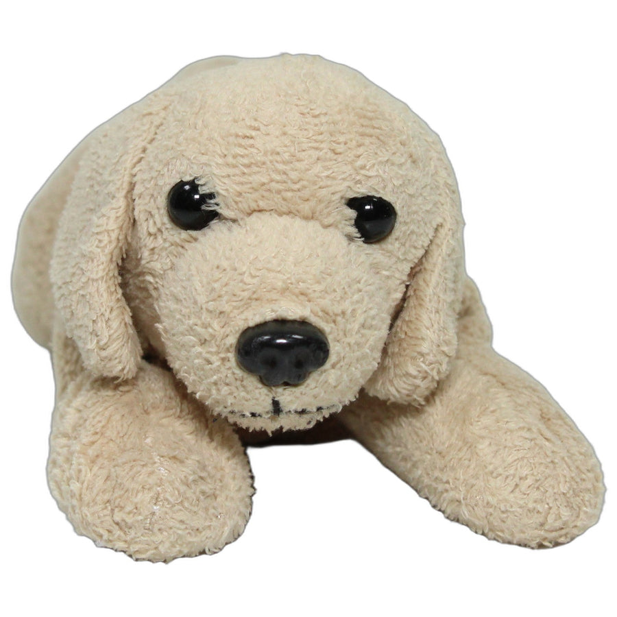 Kleiner Golden Retriever, liegend