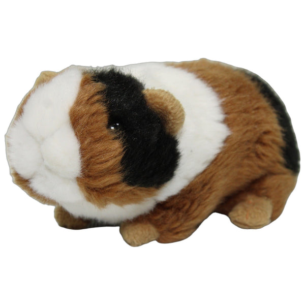 Kleines Meerschweinchen, dreifarbig
