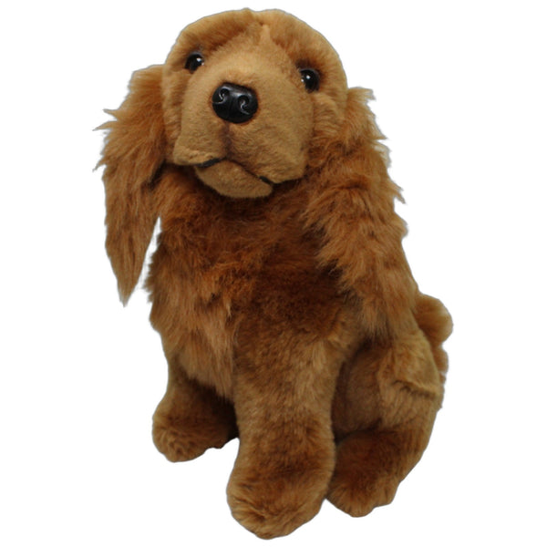 Hübscher großer Cocker Spaniel, sitzend