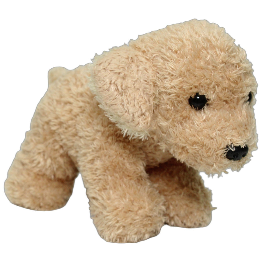 Golden Retriever Welpe