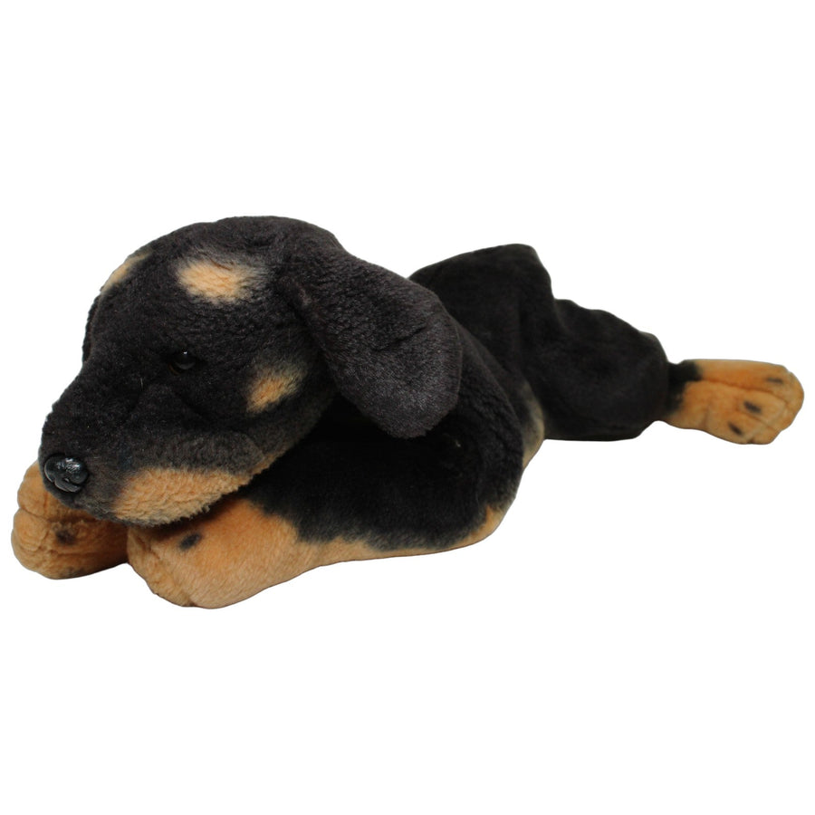 Liegender Rottweiler mit harter Schnauze