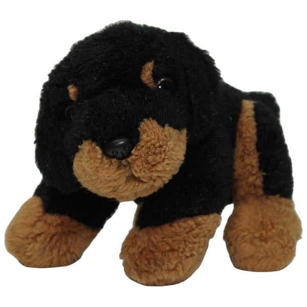 Süßer Rottweile-Welpe