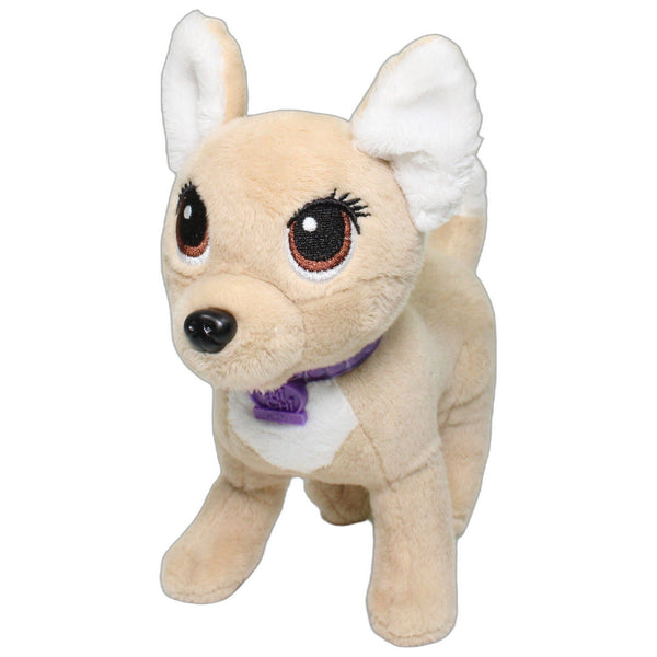 Chi Chi Love, Chihuahua mit lila Halsband