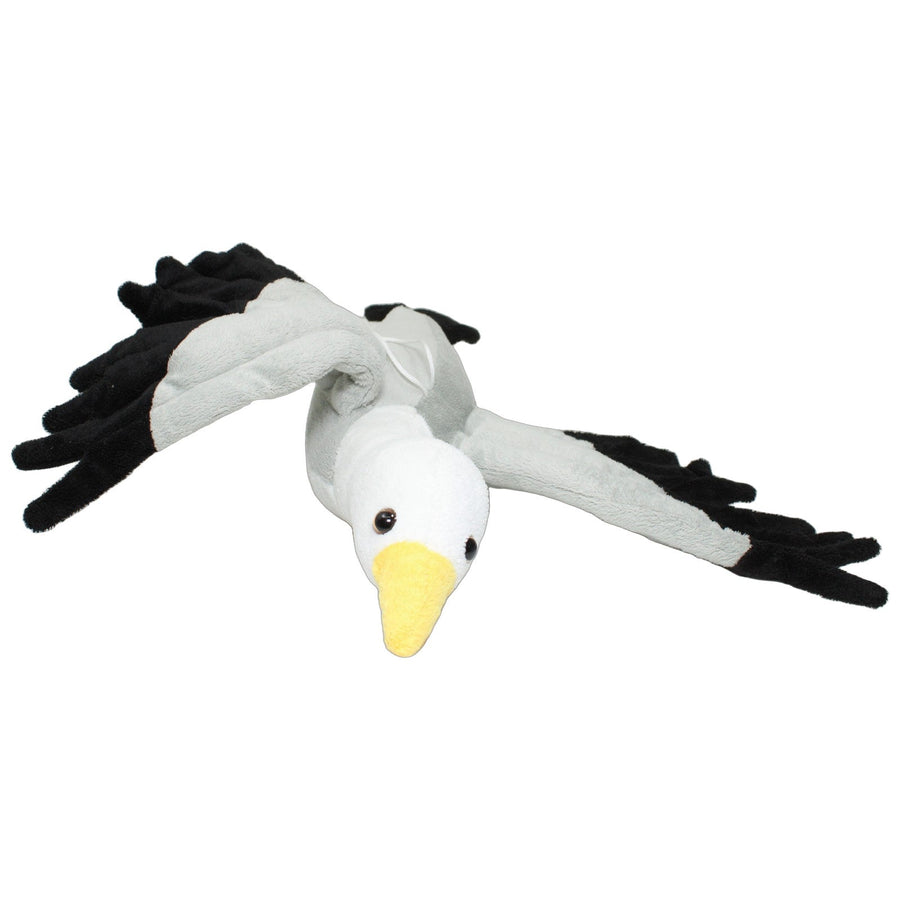 Schöne Möwe
