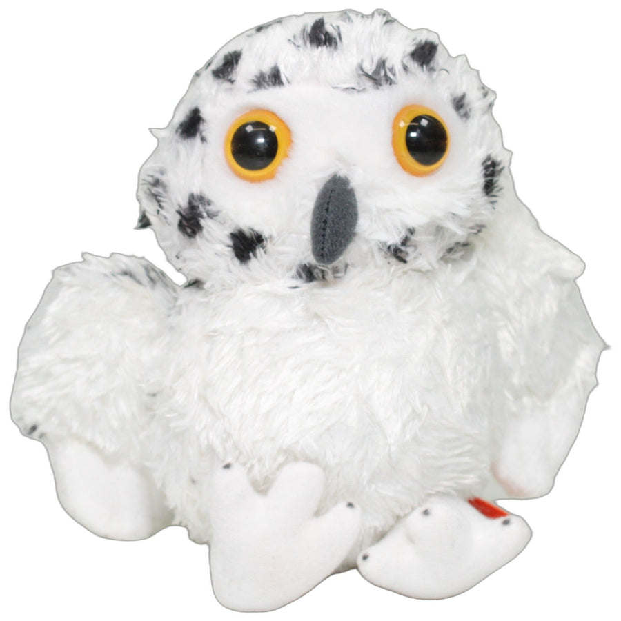Hübsche kleine Schneeeule
