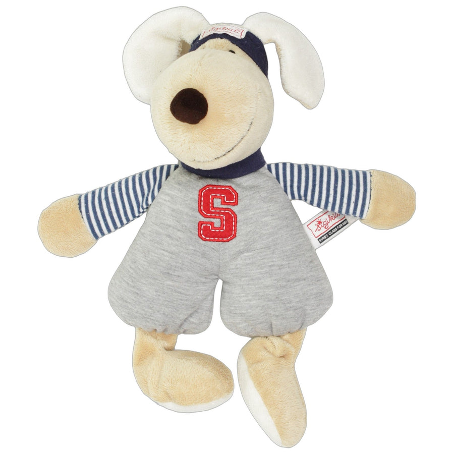 Süßer Hund Pit Fit in Sportoutfit