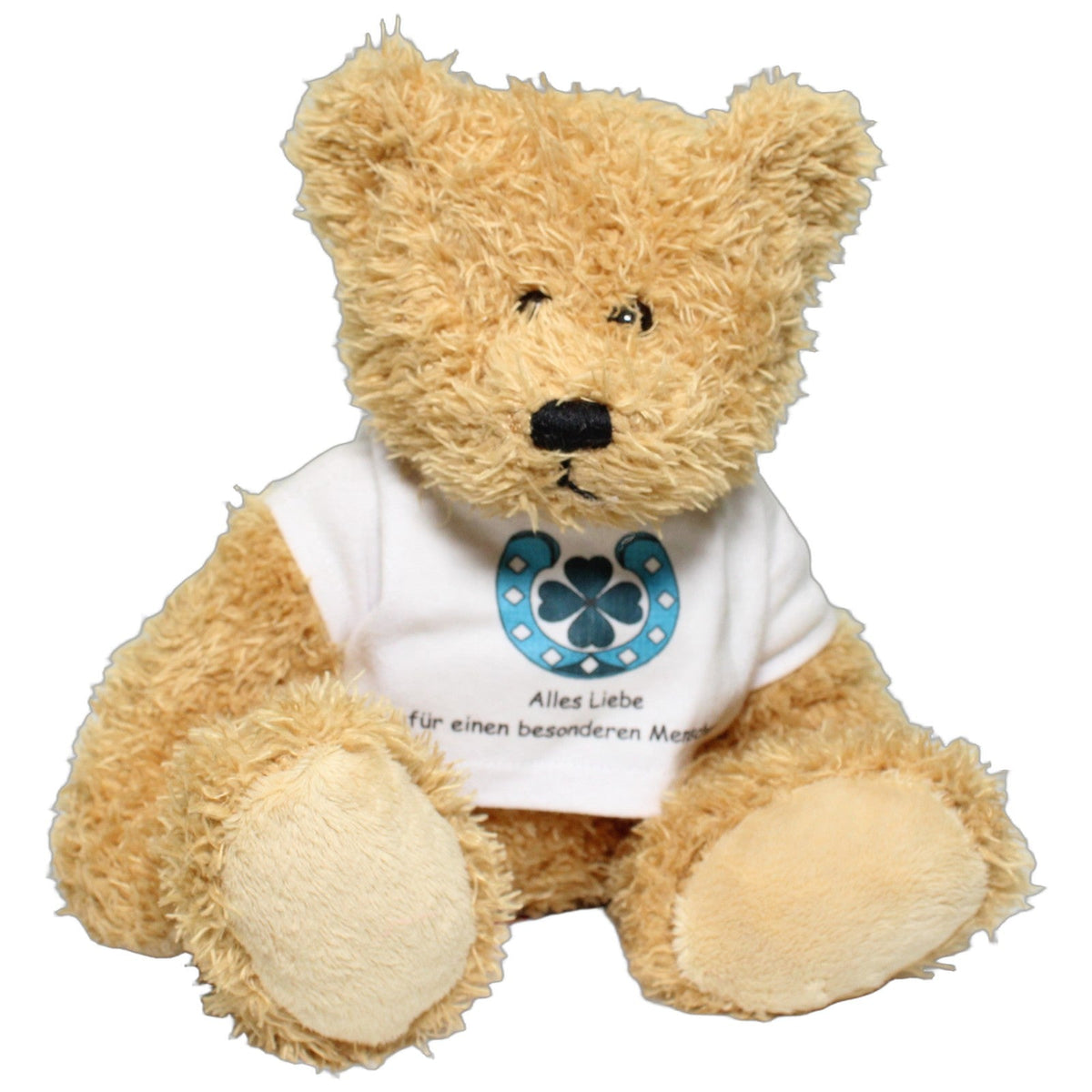 123000029313 Teddybuddy Zotteliger Teddybär mit Shirt "Alles Liebe für einen besonderen Menschen" Kuscheltier Kumpel Leo 28cm Beige Blau