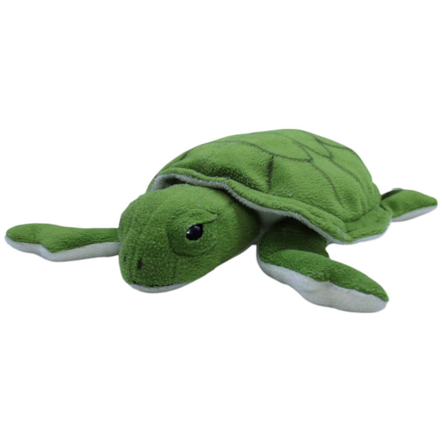 Grüne Schildkröte