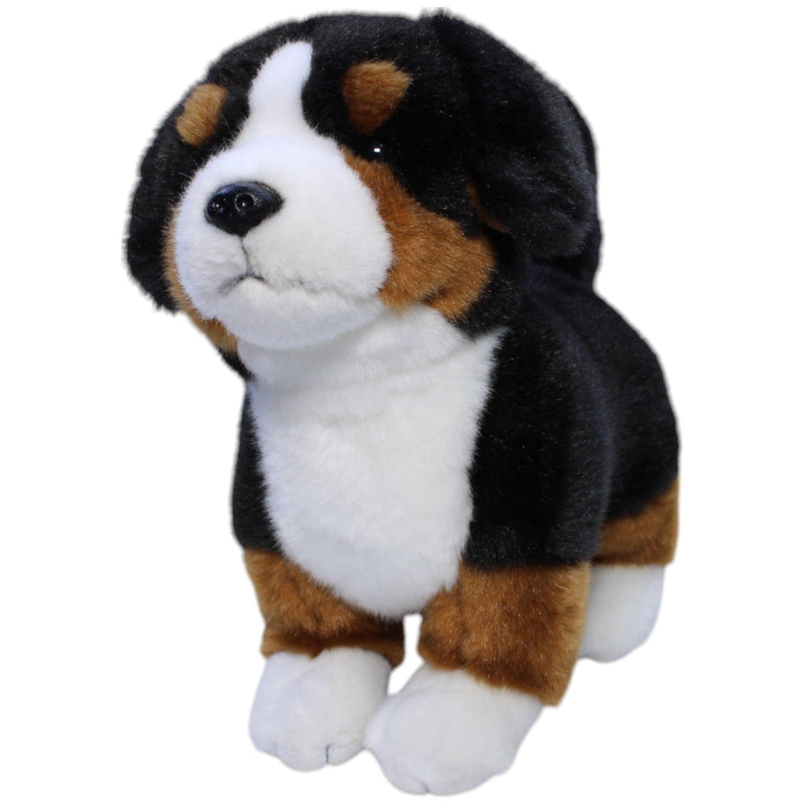 Collection, Berner Sennenhund Welpe