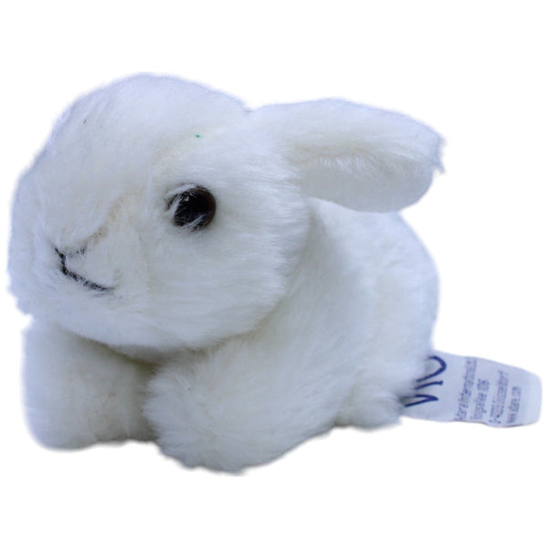 Weißer Hase, Hasi klein