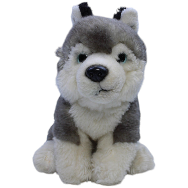Husky, klein