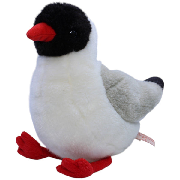 Schöne Möwe