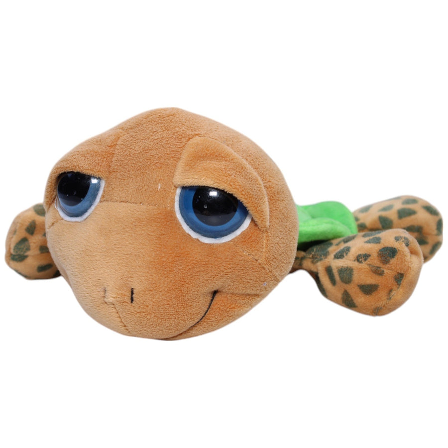 Schildkröte Calú vom RiuLand Kinderklub