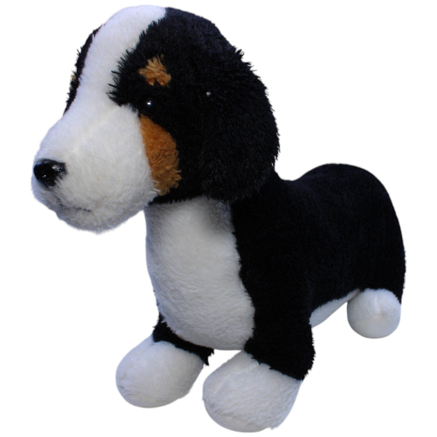 XL Dackel-Berner Sennenhund Mischling