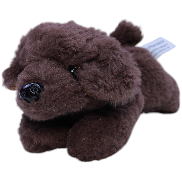 Süßer Brauner Hund